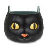 Hallmark Black Cat Glow-in-the-Dark Bowl -Hallmark Store Black Cat GlowintheDark Bowl 1HGN1293 01