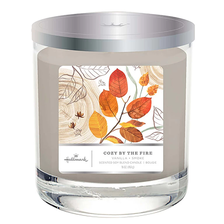 Cozy By the Fire 3-Wick Jar Candle, 16 oz. Hallmark Cozy By The Fire 3-Wick Jar Candle, 16 Oz. -Hallmark Store Cozy By the Fire 3Wick Jar Candle 1BGC1074 01