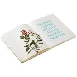 Hallmark Fierce Love: It’s A Mama Bear Thing Book -Hallmark Store Fierce Love Its a Mama Bear Thing Book root 1BOK1068 BOK1068 04.jpg Source Image