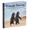 Hallmark Friends Forever: 42 Ways To Celebrate Love, Loyalty And Togetherness Book