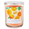Hallmark Orange Vanilla Cream 3-Wick Jar Candle, 16 Oz. -Hallmark Store Orange Vanilla Cream 3Wick Jar Candle 1BGC1062 01