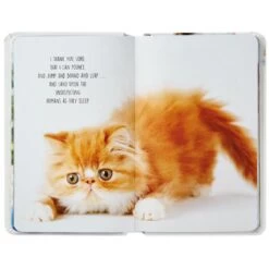 Hallmark Pet Prayers: Funny Pleas And Praise From Our Animal Friends Book 4 Hallmark Pet Prayers: Funny Pleas And Praise From Our Animal Friends Book -Hallmark Store Pet Prayers Funny Pleas and Praise From Our Animal Friends Book root 1BOK1418 BOK1418 1470 3.jpg Source Image