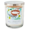 Hallmark Sea Salt Vanilla 3-Wick Jar Candle, 16 Oz. -Hallmark Store Sea Salt Vanilla 3Wick Jar Candle 1BGC1064 01