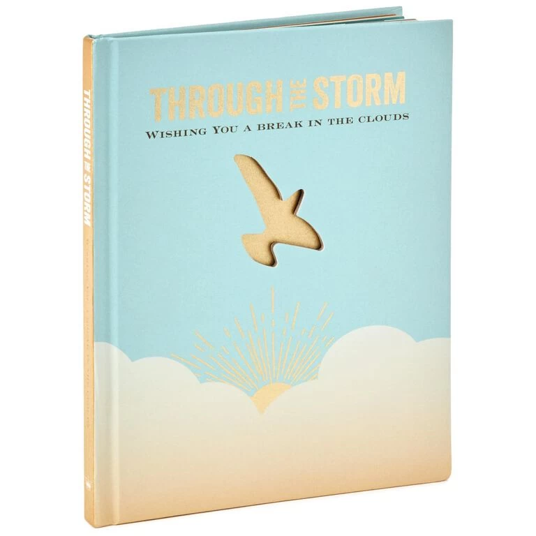 Through the Storm: Wishing You a Break in the Clouds Book Hallmark Through The Storm: Wishing You A Break In The Clouds Book -Hallmark Store Through the Storm Wishing You a Break in the Clouds Book root 1BOK1413 BOK1413 1470 1.jpg Source Image